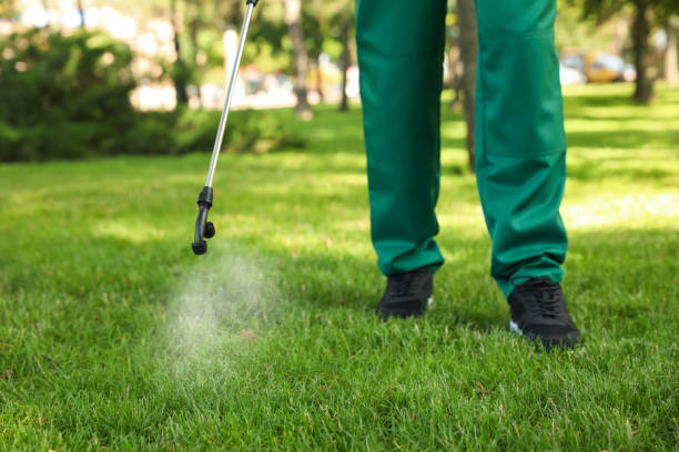 Best Flea Control Services  in Marlboro, NY