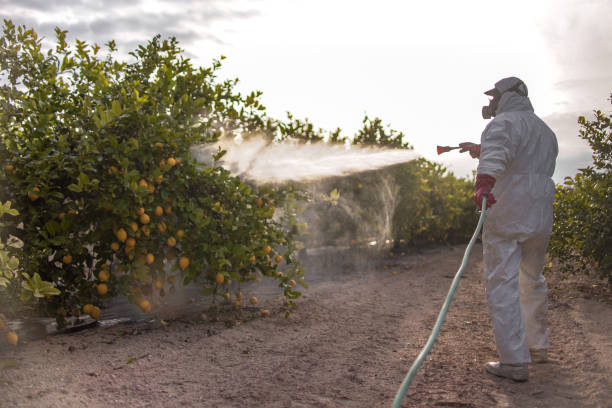 Wildlife Control Services in Marlboro, NY