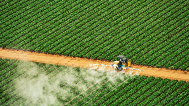 Best Ant Control Services  in Marlboro, NY